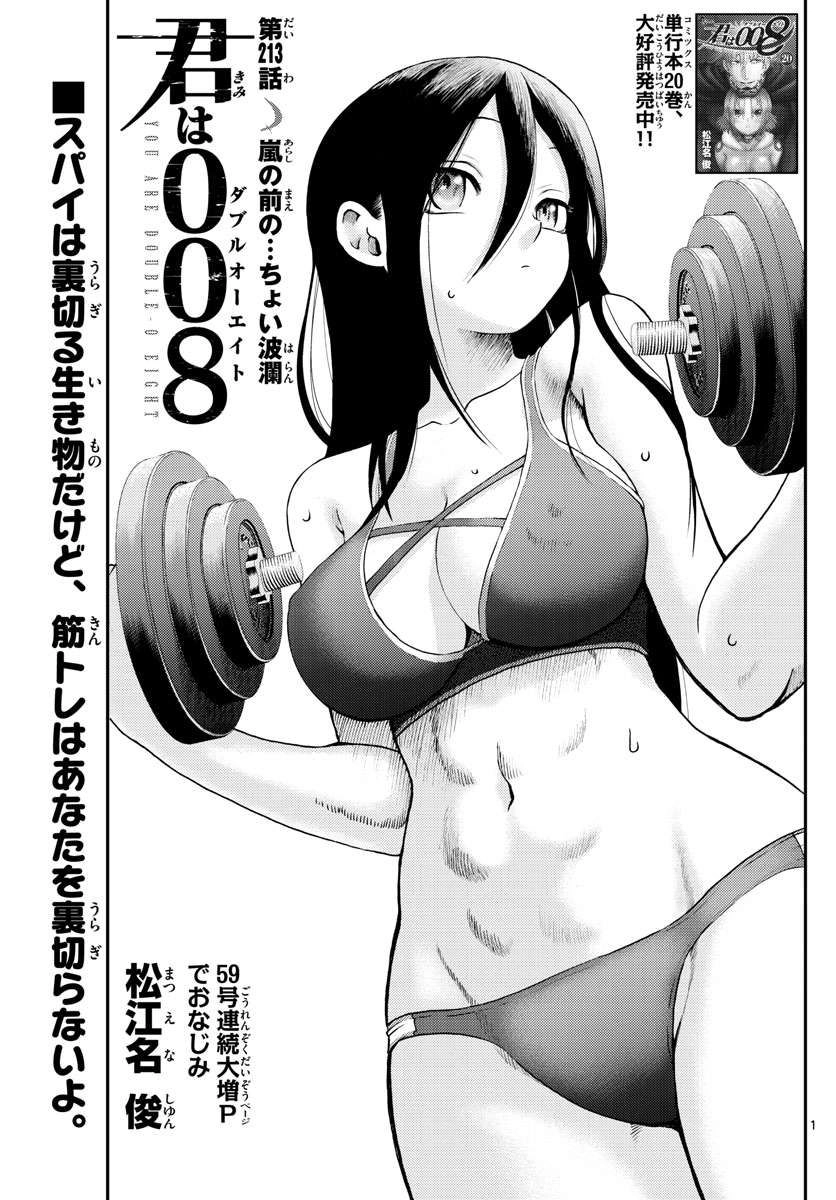 Kimi wa 008 Chapter 213 2